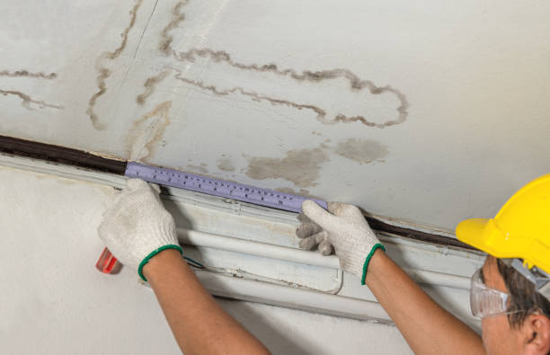 Reliable Burst Pipe Cleanup contractor in Fountain, MN by Water Damage Irwin
